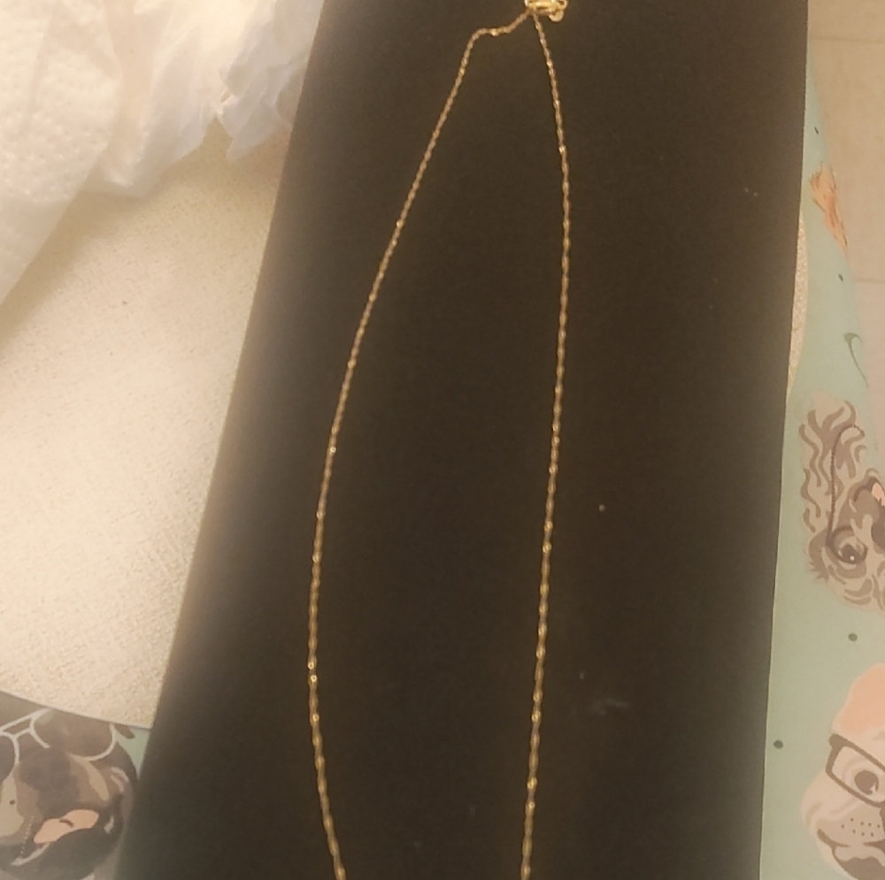 10 K  Gold  Necklace with Lobster Clasp